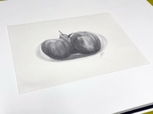 drawing, art, fruit, illustration