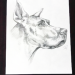 dog, drawing, art, illustration